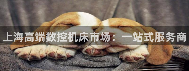 天辰娱乐下载链接:上海高端数控机床市场:一站式服务商