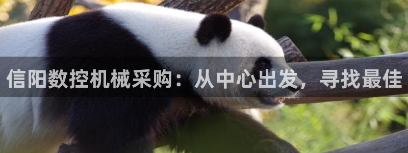 天辰娱乐557448:信阳数控机械采购:从中心出发,寻找最佳