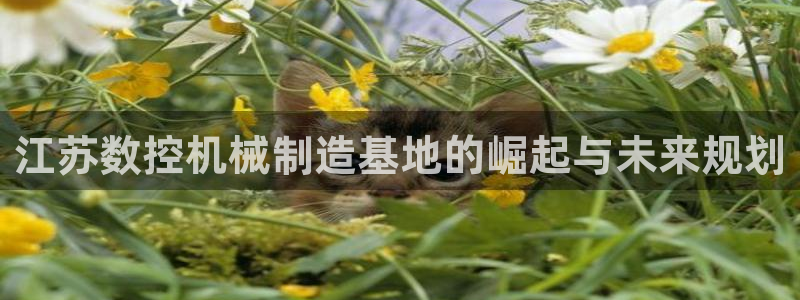 天辰娱乐游戏:江苏数控机械制造基地的崛起与未来规划
