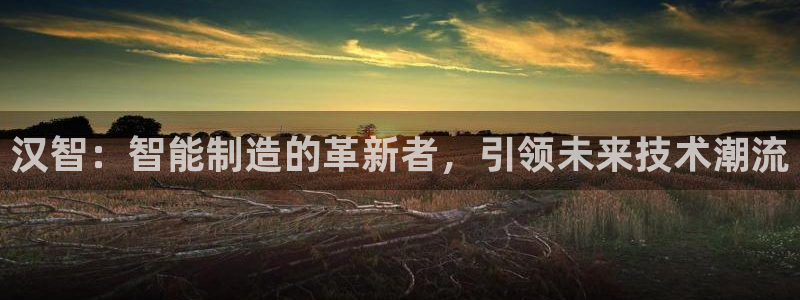 天辰娱乐待遇:汉智:智能制造的革新者,引领未来技术潮流