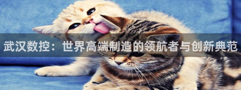 天辰娱乐10086:武汉数控:世界高端制造的领航者与创新典范