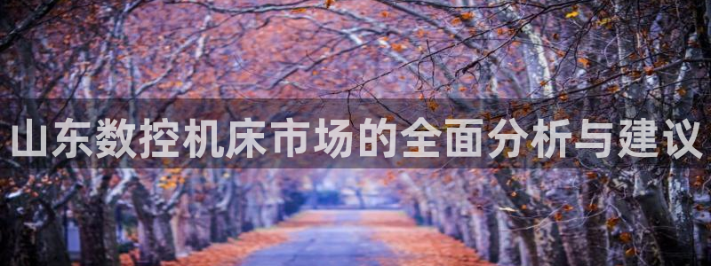 天辰娱乐44516:山东数控机床市场的全面分析与建议
