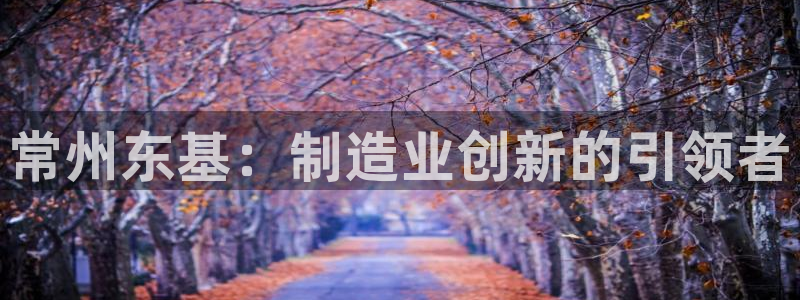 天辰娱乐网址娱乐游戏:常州东基:制造业创新的引领者