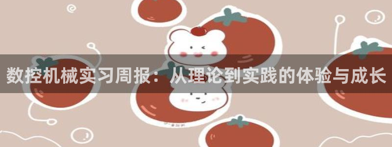 天辰宝娱乐:数控机械实习周报:从理论到实践的体验与成长