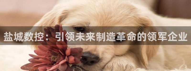 天辰娱乐娱乐平台:盐城数控:引领未来制造革命的领军企业