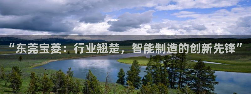 天辰娱乐集团:“东莞宝菱:行业翘楚,智能制造的创新先锋”