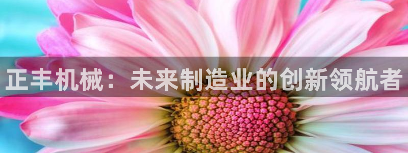 天辰娱乐平台安全吗:正丰机械:未来制造业的创新领航者
