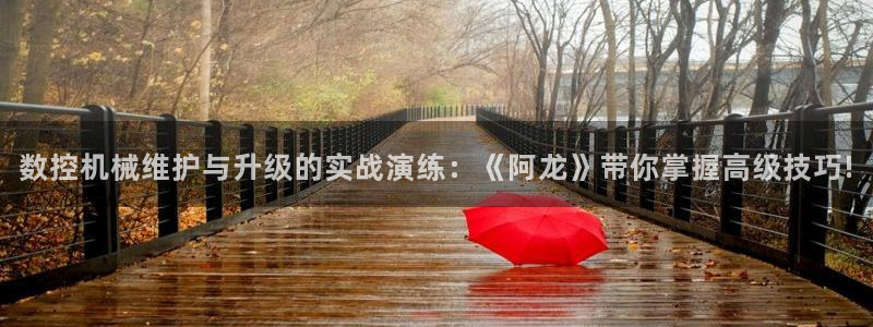 天辰娱乐招商:数控机械维护与升级的实战演练:《阿龙》带你掌握高级技巧!