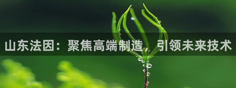 天辰娱乐平台地址在哪里:山东法因:聚焦高端制造,引领未来技术