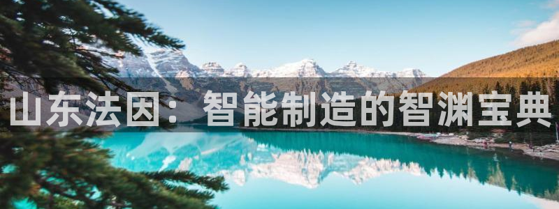 天辰娱乐台湾:山东法因:智能制造的智渊宝典