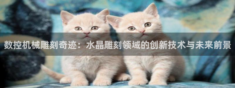 天辰娱乐tff:数控机械雕刻奇迹:水晶雕刻领域的创新技术与未来前景
