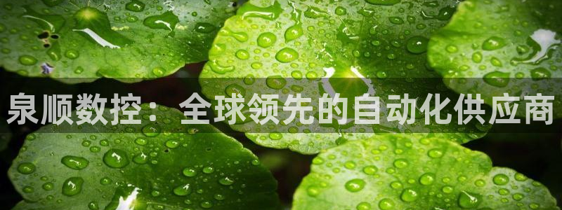 天辰线上娱乐:泉顺数控:全球领先的自动化供应商